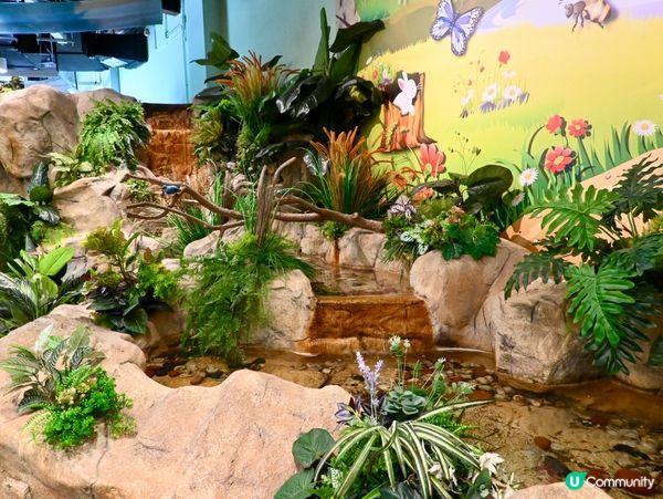 免費親子遊！昆蟲屋好好玩！ 🐞🦋