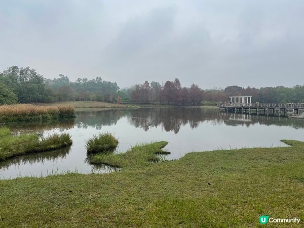 濕地公園懷舊遊！🌳🚶‍♀️🥰