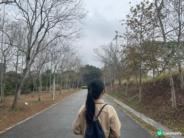 濕地公園懷舊遊！🌳🚶‍♀️🥰