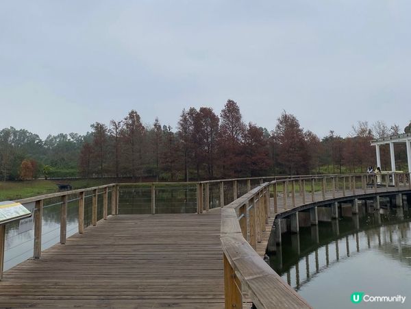 濕地公園懷舊遊！🌳🚶‍♀️🥰