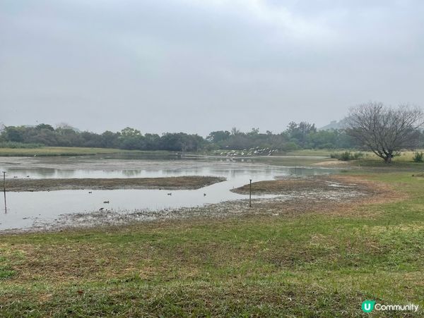 濕地公園懷舊遊！🌳🚶‍♀️🥰