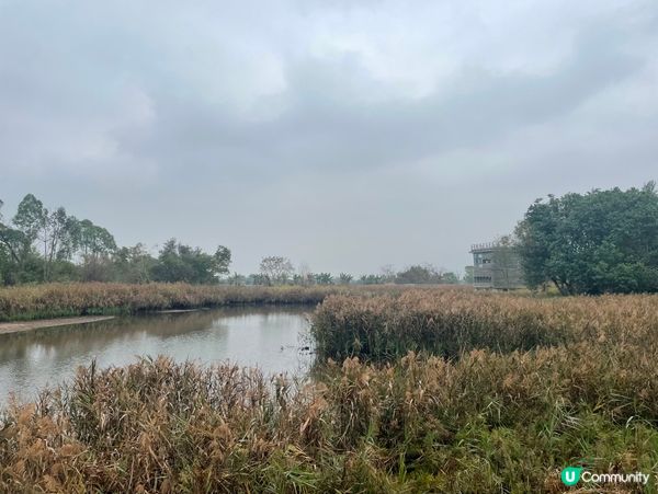 濕地公園懷舊遊！🌳🚶‍♀️🥰