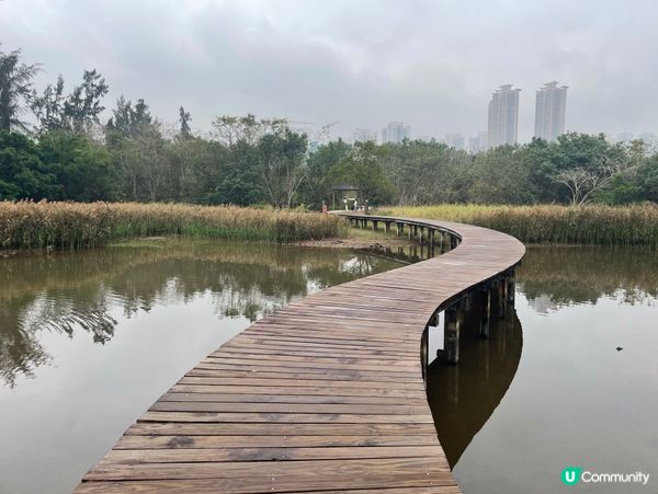 濕地公園懷舊遊！🌳🚶‍♀️🥰