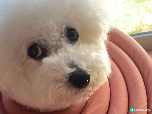 室內 terrace in seaside 德福廣場