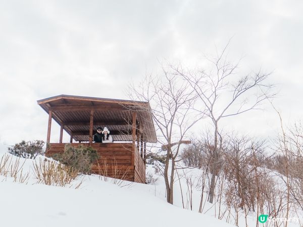 【有珠山纜車|6分鐘直達雲端 俯瞰洞爺湖絕景🚡】