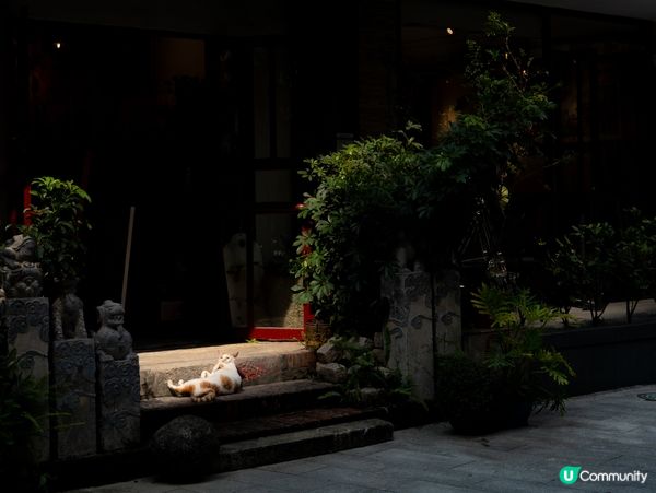 🎨深圳大芬油畫村|全球最大油畫生產基地,幾十蚊買到世界名畫!...