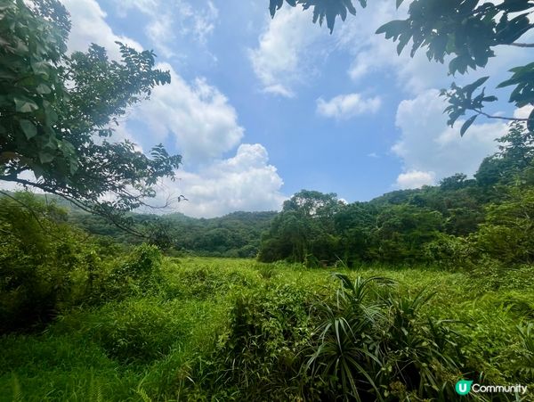 幾百年的客家村落/谷埔