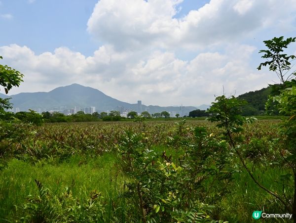 幾百年的客家村落/谷埔