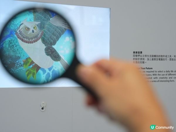HKDI設計展🎨千隻彩繪小鴨、地標建築盲盒、沉浸式光影魔法書