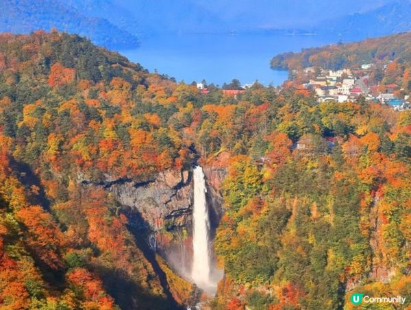 ｢日本三大🍁紅葉名勝｣之一：奧日光華嚴瀑布🎌