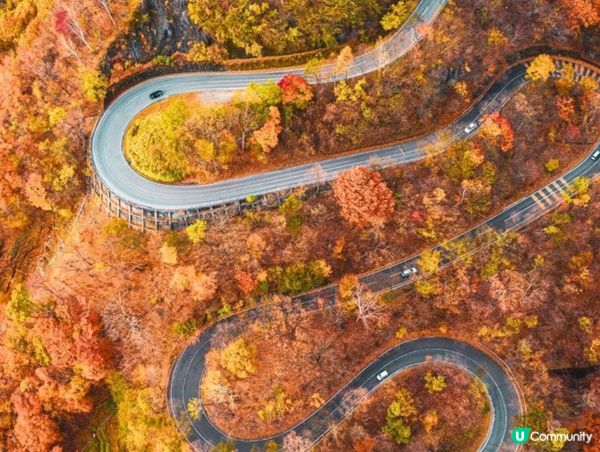 ｢日本三大🍁紅葉名勝｣之一：奧日光華嚴瀑布🎌