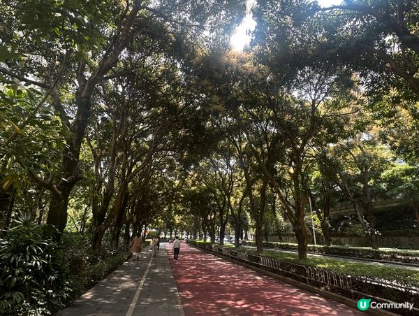 深圳南山區小區咖啡店