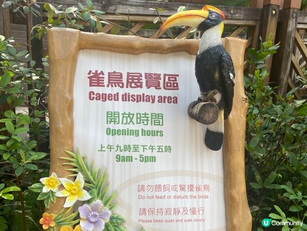 香港公園鳥語花香 🐦🌿