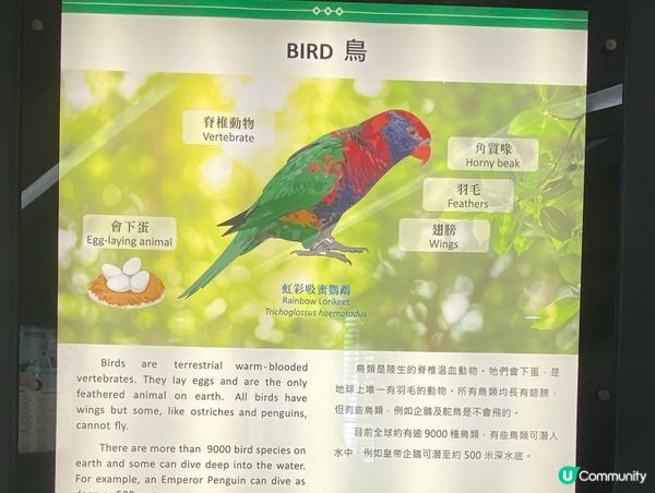 香港公園鳥語花香 🐦🌿