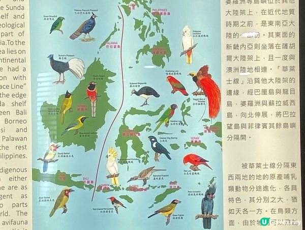 香港公園鳥語花香 🐦🌿