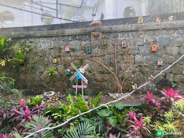 香港公園鳥語花香 🐦🌿
