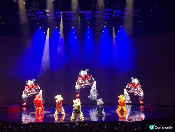 澳門2049震撼！限時買一送一🤩🤩🤩