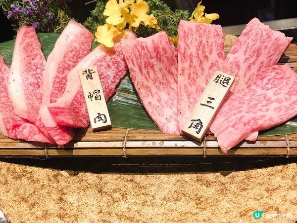 老乾杯．和牛極致享受！🥩✨