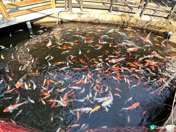 必睇 ⭐️超級推薦酒店住宿⭐️ 。3。