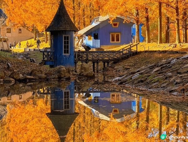 日本之旅 🍁 姆明之城堡 🍂秋楓紅葉極美湖水倒影映射落日 #...