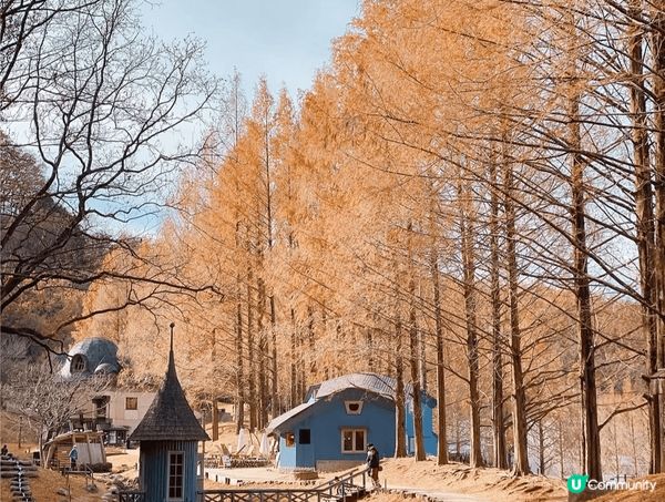 日本之旅 🍁 姆明之城堡 🍂秋楓紅葉極美湖水倒影映射落日 #...