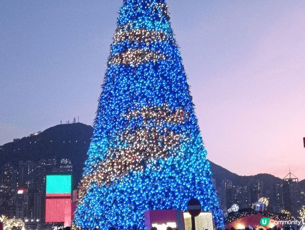 鹽局雞及粟子蛋糕