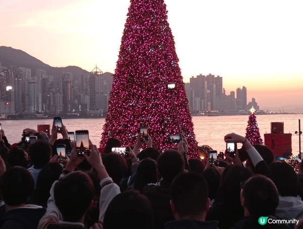 鹽局雞及粟子蛋糕