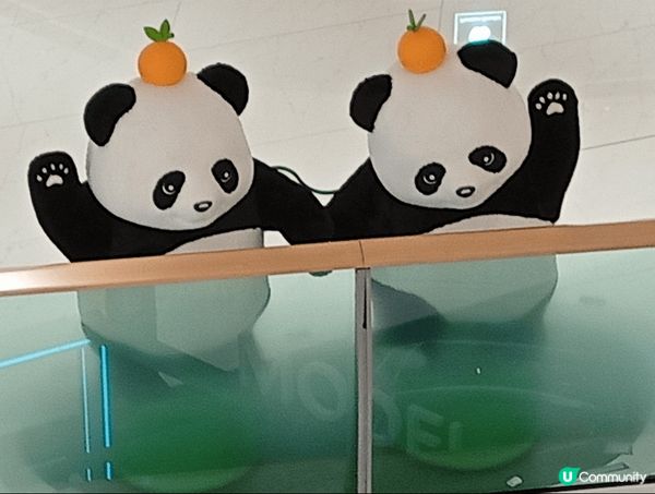 熊貓裝飾@The Southside