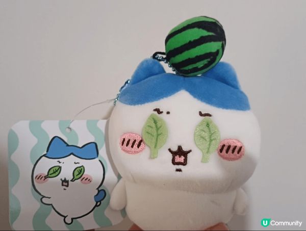 睇到小八條藍色緞帶唔見到，之後同吉伊講完後，返去忍唔住喊個段...