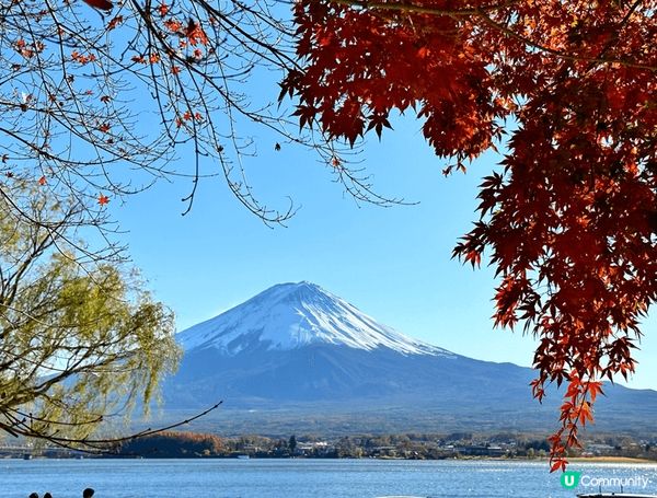 人人喜愛的富士山，也是我最喜愛的地方。只要有富士山作背景就是...