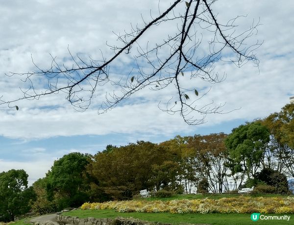 #社群三月快閃送         日本名古屋的名城公園是一個...