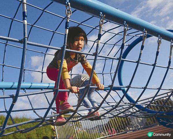 中和員山公園內設施豐富多元，除了有綠意盎然的草地與湖泊，更有...