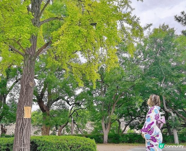 知道你地睇得太多日本熱門景點，比你睇下日本其他既靚景，日本真...