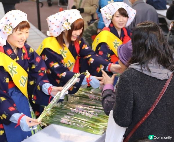 冬天其實都可以賞花⁉️越前海岸水仙祭