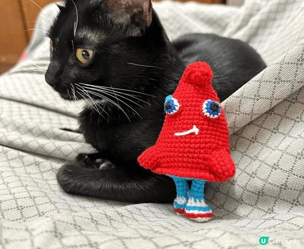 我主子好揀飲擇食，佢最中意食新鮮煎魚，我幾乎日日都買魚煎比佢...