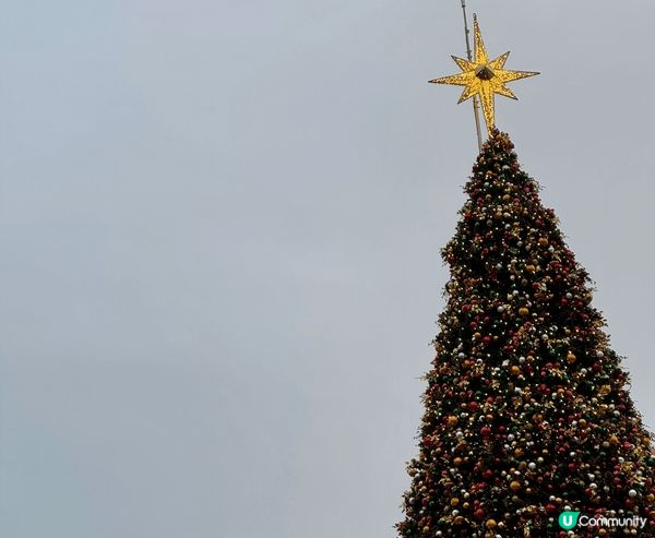 西九文化區的聖誕小鎮，色彩斑斕，高12米的巨型聖誕樹掛滿鮮艷...