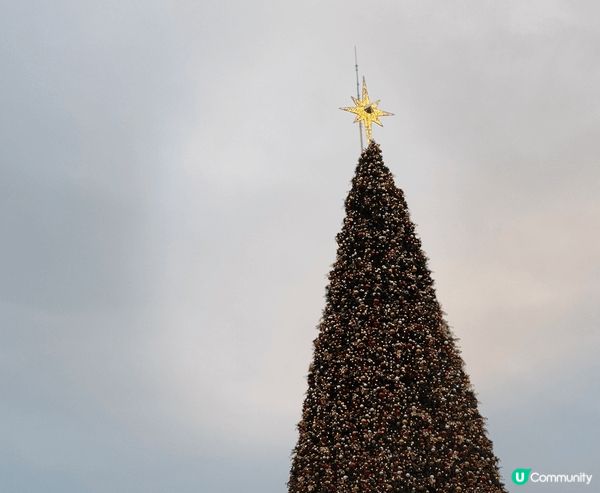 西九文化區的聖誕小鎮，色彩斑斕，高12米的巨型聖誕樹掛滿鮮艷...