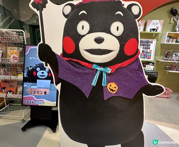 🇯🇵熊出沒注意⚠️🇯🇵九州點解冇熊？