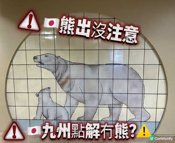 🇯🇵熊出沒注意⚠️🇯🇵九州點解冇熊？
