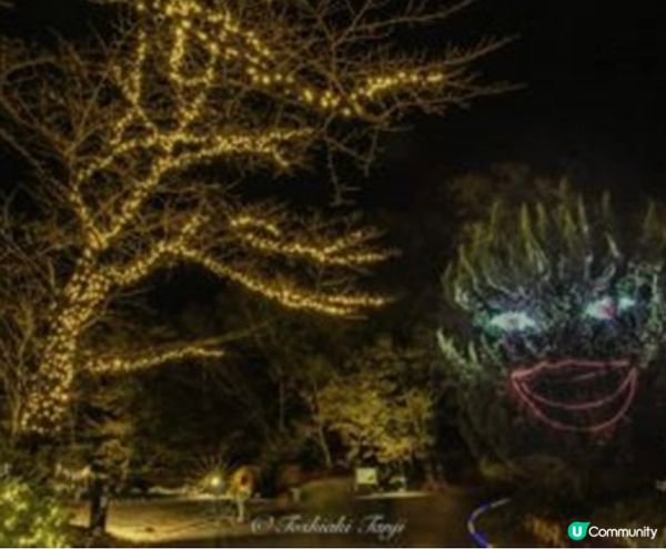 《從萬聖節到聖誕節》国営武蔵丘陵森林公園（內含3個活動）