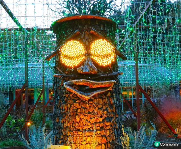 《從萬聖節到聖誕節》国営武蔵丘陵森林公園（內含3個活動）