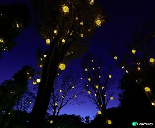 《從萬聖節到聖誕節》国営武蔵丘陵森林公園（內含3個活動）