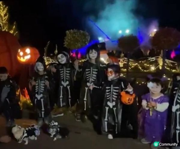 《從萬聖節到聖誕節》国営武蔵丘陵森林公園（內含3個活動）