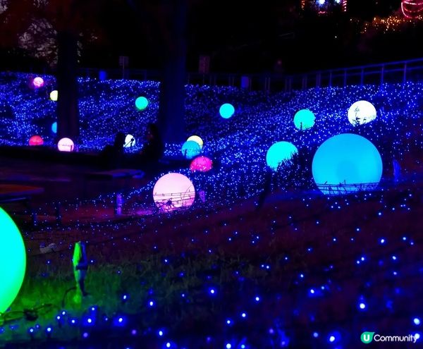 《從萬聖節到聖誕節》国営武蔵丘陵森林公園（內含3個活動）