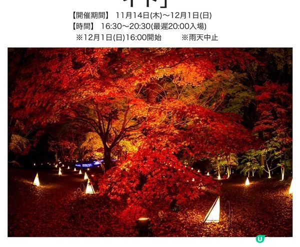 《從萬聖節到聖誕節》国営武蔵丘陵森林公園（內含3個活動）