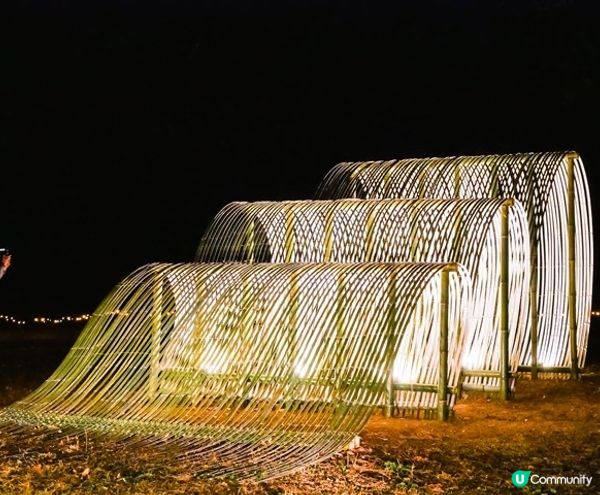 《從萬聖節到聖誕節》国営武蔵丘陵森林公園（內含3個活動）