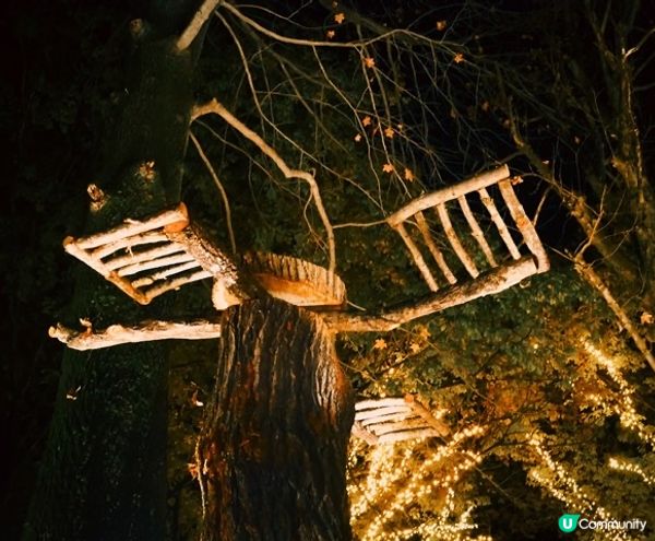 《從萬聖節到聖誕節》国営武蔵丘陵森林公園（內含3個活動）