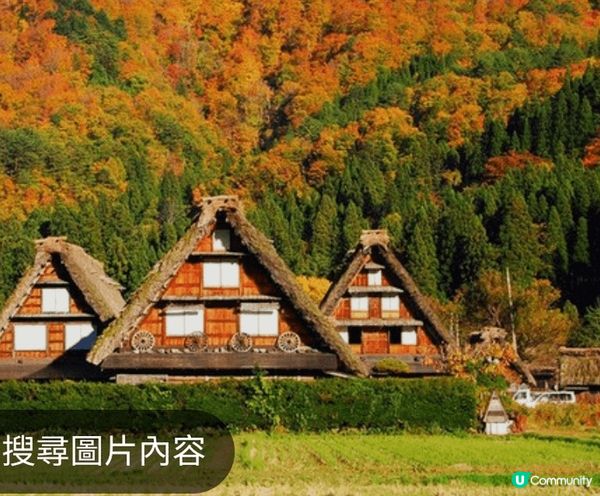 [白川鄉與五箇山的合掌造聚落]被聯合國教科文組織評選為世界遺...