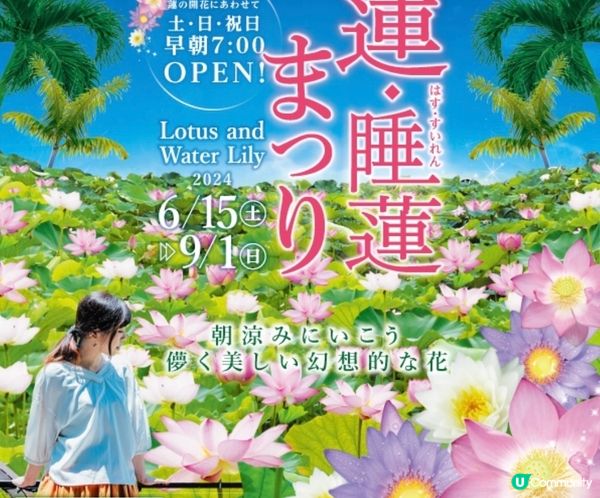 《沖繩東南植物樂園》蓮花祭2024🪷15/6-1/9