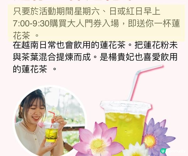 《沖繩東南植物樂園》蓮花祭2024🪷15/6-1/9